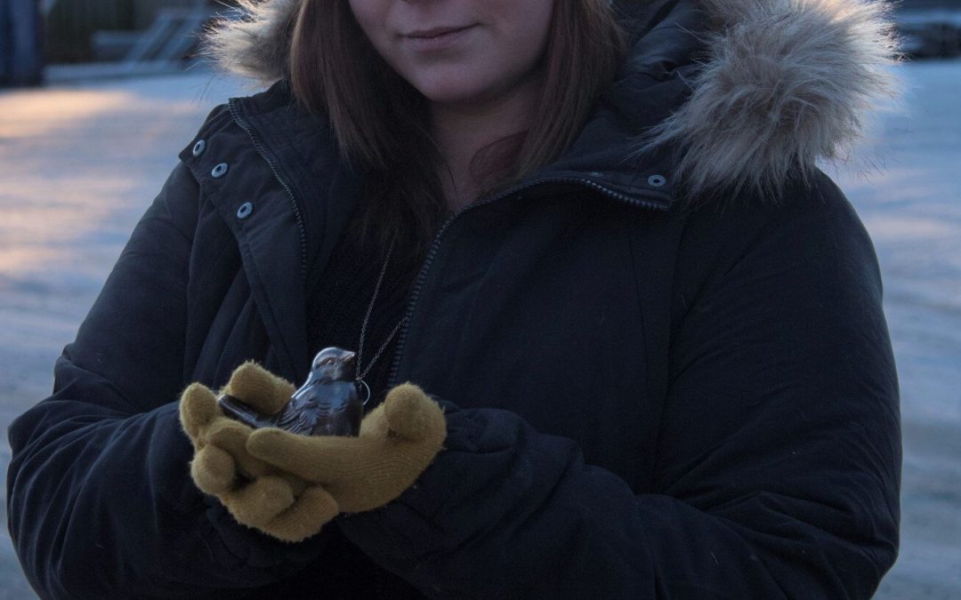 Pronssia ja Kiveä Suomessa jo 1700 eaa.